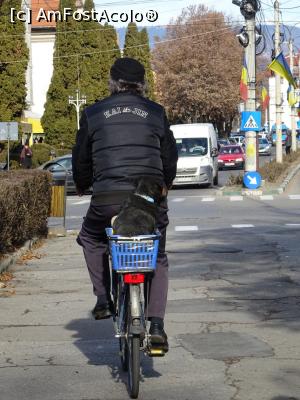 [P21] Omul și prietenul său canin la plimbare prin oraș.  » foto by tata123 🔱
 - 
<span class="allrVoted glyphicon glyphicon-heart hidden" id="av1142289"></span>
<a class="m-l-10 hidden" id="sv1142289" onclick="voting_Foto_DelVot(,1142289,5176)" role="button">șterge vot <span class="glyphicon glyphicon-remove"></span></a>
<a id="v91142289" class=" c-red"  onclick="voting_Foto_SetVot(1142289)" role="button"><span class="glyphicon glyphicon-heart-empty"></span> <b>LIKE</b> = Votează poza</a> <img class="hidden"  id="f1142289W9" src="/imagini/loader.gif" border="0" /><span class="AjErrMes hidden" id="e1142289ErM"></span>