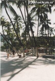 [P06] faleza din Fortaleza » foto by grecudoina
 - 
<span class="allrVoted glyphicon glyphicon-heart hidden" id="av296187"></span>
<a class="m-l-10 hidden" id="sv296187" onclick="voting_Foto_DelVot(,296187,5180)" role="button">șterge vot <span class="glyphicon glyphicon-remove"></span></a>
<a id="v9296187" class=" c-red"  onclick="voting_Foto_SetVot(296187)" role="button"><span class="glyphicon glyphicon-heart-empty"></span> <b>LIKE</b> = Votează poza</a> <img class="hidden"  id="f296187W9" src="/imagini/loader.gif" border="0" /><span class="AjErrMes hidden" id="e296187ErM"></span>