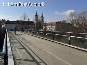 [P13] Pod peste Mur » foto by Mika
 - 
<span class="allrVoted glyphicon glyphicon-heart hidden" id="av1520648"></span>
<a class="m-l-10 hidden" id="sv1520648" onclick="voting_Foto_DelVot(,1520648,5228)" role="button">șterge vot <span class="glyphicon glyphicon-remove"></span></a>
<a id="v91520648" class=" c-red"  onclick="voting_Foto_SetVot(1520648)" role="button"><span class="glyphicon glyphicon-heart-empty"></span> <b>LIKE</b> = Votează poza</a> <img class="hidden"  id="f1520648W9" src="/imagini/loader.gif" border="0" /><span class="AjErrMes hidden" id="e1520648ErM"></span>