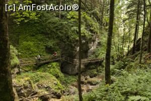 [P10] pare usor, nu?  » foto by Maya_C
 - 
<span class="allrVoted glyphicon glyphicon-heart hidden" id="av716024"></span>
<a class="m-l-10 hidden" id="sv716024" onclick="voting_Foto_DelVot(,716024,5228)" role="button">șterge vot <span class="glyphicon glyphicon-remove"></span></a>
<a id="v9716024" class=" c-red"  onclick="voting_Foto_SetVot(716024)" role="button"><span class="glyphicon glyphicon-heart-empty"></span> <b>LIKE</b> = Votează poza</a> <img class="hidden"  id="f716024W9" src="/imagini/loader.gif" border="0" /><span class="AjErrMes hidden" id="e716024ErM"></span>