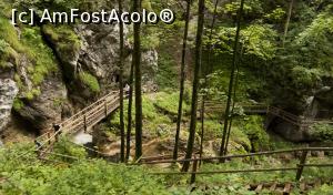 [P11]  -- <small>// FĂRĂ DESCRIERE</small> » foto by Maya_C
 - 
<span class="allrVoted glyphicon glyphicon-heart hidden" id="av716027"></span>
<a class="m-l-10 hidden" id="sv716027" onclick="voting_Foto_DelVot(,716027,5228)" role="button">șterge vot <span class="glyphicon glyphicon-remove"></span></a>
<a id="v9716027" class=" c-red"  onclick="voting_Foto_SetVot(716027)" role="button"><span class="glyphicon glyphicon-heart-empty"></span> <b>LIKE</b> = Votează poza</a> <img class="hidden"  id="f716027W9" src="/imagini/loader.gif" border="0" /><span class="AjErrMes hidden" id="e716027ErM"></span>