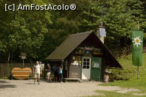 [P03] Inceputul pare usor » foto by Maya_C
 - 
<span class="allrVoted glyphicon glyphicon-heart hidden" id="av716010"></span>
<a class="m-l-10 hidden" id="sv716010" onclick="voting_Foto_DelVot(,716010,5228)" role="button">șterge vot <span class="glyphicon glyphicon-remove"></span></a>
<a id="v9716010" class=" c-red"  onclick="voting_Foto_SetVot(716010)" role="button"><span class="glyphicon glyphicon-heart-empty"></span> <b>LIKE</b> = Votează poza</a> <img class="hidden"  id="f716010W9" src="/imagini/loader.gif" border="0" /><span class="AjErrMes hidden" id="e716010ErM"></span>