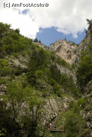 [P04] Scarile merg spre nori » foto by Maya_C
 - 
<span class="allrVoted glyphicon glyphicon-heart hidden" id="av716012"></span>
<a class="m-l-10 hidden" id="sv716012" onclick="voting_Foto_DelVot(,716012,5228)" role="button">șterge vot <span class="glyphicon glyphicon-remove"></span></a>
<a id="v9716012" class=" c-red"  onclick="voting_Foto_SetVot(716012)" role="button"><span class="glyphicon glyphicon-heart-empty"></span> <b>LIKE</b> = Votează poza</a> <img class="hidden"  id="f716012W9" src="/imagini/loader.gif" border="0" /><span class="AjErrMes hidden" id="e716012ErM"></span>