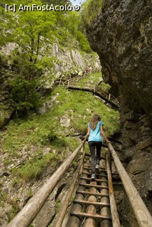 [P06] sens unic: spre varf » foto by Maya_C
 - 
<span class="allrVoted glyphicon glyphicon-heart hidden" id="av716015"></span>
<a class="m-l-10 hidden" id="sv716015" onclick="voting_Foto_DelVot(,716015,5228)" role="button">șterge vot <span class="glyphicon glyphicon-remove"></span></a>
<a id="v9716015" class=" c-red"  onclick="voting_Foto_SetVot(716015)" role="button"><span class="glyphicon glyphicon-heart-empty"></span> <b>LIKE</b> = Votează poza</a> <img class="hidden"  id="f716015W9" src="/imagini/loader.gif" border="0" /><span class="AjErrMes hidden" id="e716015ErM"></span>