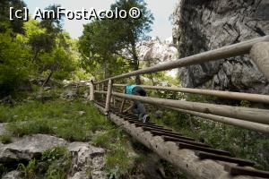 [P07]  -- <small>// FĂRĂ DESCRIERE</small> » foto by Maya_C
 - 
<span class="allrVoted glyphicon glyphicon-heart hidden" id="av716016"></span>
<a class="m-l-10 hidden" id="sv716016" onclick="voting_Foto_DelVot(,716016,5228)" role="button">șterge vot <span class="glyphicon glyphicon-remove"></span></a>
<a id="v9716016" class=" c-red"  onclick="voting_Foto_SetVot(716016)" role="button"><span class="glyphicon glyphicon-heart-empty"></span> <b>LIKE</b> = Votează poza</a> <img class="hidden"  id="f716016W9" src="/imagini/loader.gif" border="0" /><span class="AjErrMes hidden" id="e716016ErM"></span>