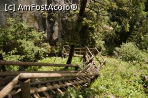 [P08]  -- <small>// FĂRĂ DESCRIERE</small> » foto by Maya_C
 - 
<span class="allrVoted glyphicon glyphicon-heart hidden" id="av716019"></span>
<a class="m-l-10 hidden" id="sv716019" onclick="voting_Foto_DelVot(,716019,5228)" role="button">șterge vot <span class="glyphicon glyphicon-remove"></span></a>
<a id="v9716019" class=" c-red"  onclick="voting_Foto_SetVot(716019)" role="button"><span class="glyphicon glyphicon-heart-empty"></span> <b>LIKE</b> = Votează poza</a> <img class="hidden"  id="f716019W9" src="/imagini/loader.gif" border="0" /><span class="AjErrMes hidden" id="e716019ErM"></span>