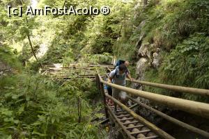 [P09]  -- <small>// FĂRĂ DESCRIERE</small> » foto by Maya_C
 - 
<span class="allrVoted glyphicon glyphicon-heart hidden" id="av716022"></span>
<a class="m-l-10 hidden" id="sv716022" onclick="voting_Foto_DelVot(,716022,5228)" role="button">șterge vot <span class="glyphicon glyphicon-remove"></span></a>
<a id="v9716022" class=" c-red"  onclick="voting_Foto_SetVot(716022)" role="button"><span class="glyphicon glyphicon-heart-empty"></span> <b>LIKE</b> = Votează poza</a> <img class="hidden"  id="f716022W9" src="/imagini/loader.gif" border="0" /><span class="AjErrMes hidden" id="e716022ErM"></span>