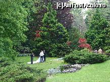 [P17] Acelasi parc , alta mireasa . » foto by must-see*
 - 
<span class="allrVoted glyphicon glyphicon-heart hidden" id="av58907"></span>
<a class="m-l-10 hidden" id="sv58907" onclick="voting_Foto_DelVot(,58907,5244)" role="button">șterge vot <span class="glyphicon glyphicon-remove"></span></a>
<a id="v958907" class=" c-red"  onclick="voting_Foto_SetVot(58907)" role="button"><span class="glyphicon glyphicon-heart-empty"></span> <b>LIKE</b> = Votează poza</a> <img class="hidden"  id="f58907W9" src="/imagini/loader.gif" border="0" /><span class="AjErrMes hidden" id="e58907ErM"></span>