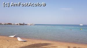 [P11] Marea rosie Hurghada  Steigenberger Al dau beach » foto by MORARUL
 - 
<span class="allrVoted glyphicon glyphicon-heart hidden" id="av1187867"></span>
<a class="m-l-10 hidden" id="sv1187867" onclick="voting_Foto_DelVot(,1187867,5248)" role="button">șterge vot <span class="glyphicon glyphicon-remove"></span></a>
<a id="v91187867" class=" c-red"  onclick="voting_Foto_SetVot(1187867)" role="button"><span class="glyphicon glyphicon-heart-empty"></span> <b>LIKE</b> = Votează poza</a> <img class="hidden"  id="f1187867W9" src="/imagini/loader.gif" border="0" /><span class="AjErrMes hidden" id="e1187867ErM"></span>
