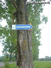 [P40] Sinca, Hanul Roua Sanzienelor, de la acest indicator mai aveti 5 km pana la han, prin padure » foto by magdalena
 - 
<span class="allrVoted glyphicon glyphicon-heart hidden" id="av214565"></span>
<a class="m-l-10 hidden" id="sv214565" onclick="voting_Foto_DelVot(,214565,5307)" role="button">șterge vot <span class="glyphicon glyphicon-remove"></span></a>
<a id="v9214565" class=" c-red"  onclick="voting_Foto_SetVot(214565)" role="button"><span class="glyphicon glyphicon-heart-empty"></span> <b>LIKE</b> = Votează poza</a> <img class="hidden"  id="f214565W9" src="/imagini/loader.gif" border="0" /><span class="AjErrMes hidden" id="e214565ErM"></span>