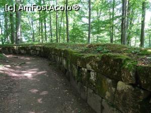 [P06] Zidul dacic (murus dacicus) - Sarmizegetusa Regia.  » foto by tata123 🔱
 - 
<span class="allrVoted glyphicon glyphicon-heart hidden" id="av1107719"></span>
<a class="m-l-10 hidden" id="sv1107719" onclick="voting_Foto_DelVot(,1107719,5311)" role="button">șterge vot <span class="glyphicon glyphicon-remove"></span></a>
<a id="v91107719" class=" c-red"  onclick="voting_Foto_SetVot(1107719)" role="button"><span class="glyphicon glyphicon-heart-empty"></span> <b>LIKE</b> = Votează poza</a> <img class="hidden"  id="f1107719W9" src="/imagini/loader.gif" border="0" /><span class="AjErrMes hidden" id="e1107719ErM"></span>