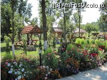 [P01]  -- <small>// FĂRĂ DESCRIERE</small> » foto by Laura T*
 - 
<span class="allrVoted glyphicon glyphicon-heart hidden" id="av64746"></span>
<a class="m-l-10 hidden" id="sv64746" onclick="voting_Foto_DelVot(,64746,5349)" role="button">șterge vot <span class="glyphicon glyphicon-remove"></span></a>
<a id="v964746" class=" c-red"  onclick="voting_Foto_SetVot(64746)" role="button"><span class="glyphicon glyphicon-heart-empty"></span> <b>LIKE</b> = Votează poza</a> <img class="hidden"  id="f64746W9" src="/imagini/loader.gif" border="0" /><span class="AjErrMes hidden" id="e64746ErM"></span>