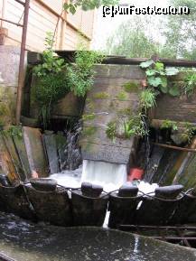 [P05] Valtoare in satul Feresti. » foto by tata123 🔱
 - 
<span class="allrVoted glyphicon glyphicon-heart hidden" id="av85496"></span>
<a class="m-l-10 hidden" id="sv85496" onclick="voting_Foto_DelVot(,85496,5349)" role="button">șterge vot <span class="glyphicon glyphicon-remove"></span></a>
<a id="v985496" class=" c-red"  onclick="voting_Foto_SetVot(85496)" role="button"><span class="glyphicon glyphicon-heart-empty"></span> <b>LIKE</b> = Votează poza</a> <img class="hidden"  id="f85496W9" src="/imagini/loader.gif" border="0" /><span class="AjErrMes hidden" id="e85496ErM"></span>