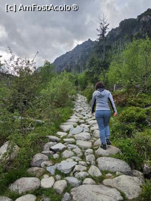 [P01]  -- <small>// FĂRĂ DESCRIERE</small> » foto by Maya_C
 - 
<span class="allrVoted glyphicon glyphicon-heart hidden" id="av1501995"></span>
<a class="m-l-10 hidden" id="sv1501995" onclick="voting_Foto_DelVot(,1501995,5383)" role="button">șterge vot <span class="glyphicon glyphicon-remove"></span></a>
<a id="v91501995" class=" c-red"  onclick="voting_Foto_SetVot(1501995)" role="button"><span class="glyphicon glyphicon-heart-empty"></span> <b>LIKE</b> = Votează poza</a> <img class="hidden"  id="f1501995W9" src="/imagini/loader.gif" border="0" /><span class="AjErrMes hidden" id="e1501995ErM"></span>