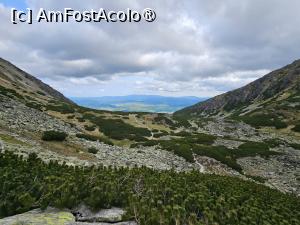 [P19]  -- <small>// FĂRĂ DESCRIERE</small> » foto by Maya_C
 - 
<span class="allrVoted glyphicon glyphicon-heart hidden" id="av1502013"></span>
<a class="m-l-10 hidden" id="sv1502013" onclick="voting_Foto_DelVot(,1502013,5383)" role="button">șterge vot <span class="glyphicon glyphicon-remove"></span></a>
<a id="v91502013" class=" c-red"  onclick="voting_Foto_SetVot(1502013)" role="button"><span class="glyphicon glyphicon-heart-empty"></span> <b>LIKE</b> = Votează poza</a> <img class="hidden"  id="f1502013W9" src="/imagini/loader.gif" border="0" /><span class="AjErrMes hidden" id="e1502013ErM"></span>