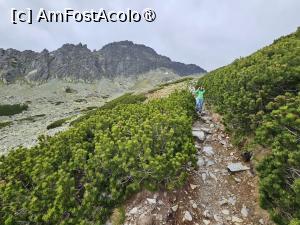 [P20]  -- <small>// FĂRĂ DESCRIERE</small> » foto by Maya_C
 - 
<span class="allrVoted glyphicon glyphicon-heart hidden" id="av1502014"></span>
<a class="m-l-10 hidden" id="sv1502014" onclick="voting_Foto_DelVot(,1502014,5383)" role="button">șterge vot <span class="glyphicon glyphicon-remove"></span></a>
<a id="v91502014" class=" c-red"  onclick="voting_Foto_SetVot(1502014)" role="button"><span class="glyphicon glyphicon-heart-empty"></span> <b>LIKE</b> = Votează poza</a> <img class="hidden"  id="f1502014W9" src="/imagini/loader.gif" border="0" /><span class="AjErrMes hidden" id="e1502014ErM"></span>