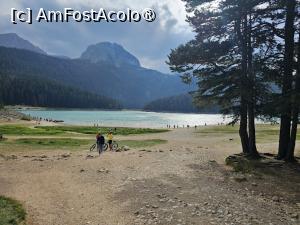 [P23]  -- <small>// FĂRĂ DESCRIERE</small> » foto by Maya_C
 - 
<span class="allrVoted glyphicon glyphicon-heart hidden" id="av1502017"></span>
<a class="m-l-10 hidden" id="sv1502017" onclick="voting_Foto_DelVot(,1502017,5383)" role="button">șterge vot <span class="glyphicon glyphicon-remove"></span></a>
<a id="v91502017" class=" c-red"  onclick="voting_Foto_SetVot(1502017)" role="button"><span class="glyphicon glyphicon-heart-empty"></span> <b>LIKE</b> = Votează poza</a> <img class="hidden"  id="f1502017W9" src="/imagini/loader.gif" border="0" /><span class="AjErrMes hidden" id="e1502017ErM"></span>