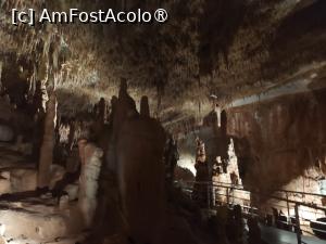 [P28] Pestera Petralona » foto by ilee
 - 
<span class="allrVoted glyphicon glyphicon-heart hidden" id="av1499373"></span>
<a class="m-l-10 hidden" id="sv1499373" onclick="voting_Foto_DelVot(,1499373,5388)" role="button">șterge vot <span class="glyphicon glyphicon-remove"></span></a>
<a id="v91499373" class=" c-red"  onclick="voting_Foto_SetVot(1499373)" role="button"><span class="glyphicon glyphicon-heart-empty"></span> <b>LIKE</b> = Votează poza</a> <img class="hidden"  id="f1499373W9" src="/imagini/loader.gif" border="0" /><span class="AjErrMes hidden" id="e1499373ErM"></span>