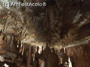 [P29] Pestera Petralona » foto by ilee
 - 
<span class="allrVoted glyphicon glyphicon-heart hidden" id="av1499374"></span>
<a class="m-l-10 hidden" id="sv1499374" onclick="voting_Foto_DelVot(,1499374,5388)" role="button">șterge vot <span class="glyphicon glyphicon-remove"></span></a>
<a id="v91499374" class=" c-red"  onclick="voting_Foto_SetVot(1499374)" role="button"><span class="glyphicon glyphicon-heart-empty"></span> <b>LIKE</b> = Votează poza</a> <img class="hidden"  id="f1499374W9" src="/imagini/loader.gif" border="0" /><span class="AjErrMes hidden" id="e1499374ErM"></span>