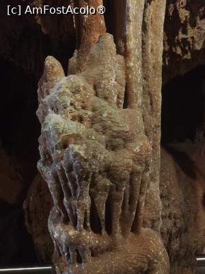 [P32] Pestera Petralona » foto by ilee
 - 
<span class="allrVoted glyphicon glyphicon-heart hidden" id="av1499377"></span>
<a class="m-l-10 hidden" id="sv1499377" onclick="voting_Foto_DelVot(,1499377,5388)" role="button">șterge vot <span class="glyphicon glyphicon-remove"></span></a>
<a id="v91499377" class=" c-red"  onclick="voting_Foto_SetVot(1499377)" role="button"><span class="glyphicon glyphicon-heart-empty"></span> <b>LIKE</b> = Votează poza</a> <img class="hidden"  id="f1499377W9" src="/imagini/loader.gif" border="0" /><span class="AjErrMes hidden" id="e1499377ErM"></span>