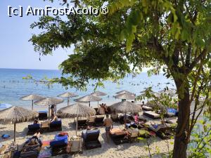 [P02] Plaja din Nea Kallikratia » foto by ilee
 - 
<span class="allrVoted glyphicon glyphicon-heart hidden" id="av1500866"></span>
<a class="m-l-10 hidden" id="sv1500866" onclick="voting_Foto_DelVot(,1500866,5388)" role="button">șterge vot <span class="glyphicon glyphicon-remove"></span></a>
<a id="v91500866" class=" c-red"  onclick="voting_Foto_SetVot(1500866)" role="button"><span class="glyphicon glyphicon-heart-empty"></span> <b>LIKE</b> = Votează poza</a> <img class="hidden"  id="f1500866W9" src="/imagini/loader.gif" border="0" /><span class="AjErrMes hidden" id="e1500866ErM"></span>