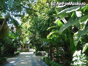 [P11] Marbella și Puerto Banus - Parcul Alameda » foto by nicole33
 - 
<span class="allrVoted glyphicon glyphicon-heart hidden" id="av465096"></span>
<a class="m-l-10 hidden" id="sv465096" onclick="voting_Foto_DelVot(,465096,5391)" role="button">șterge vot <span class="glyphicon glyphicon-remove"></span></a>
<a id="v9465096" class=" c-red"  onclick="voting_Foto_SetVot(465096)" role="button"><span class="glyphicon glyphicon-heart-empty"></span> <b>LIKE</b> = Votează poza</a> <img class="hidden"  id="f465096W9" src="/imagini/loader.gif" border="0" /><span class="AjErrMes hidden" id="e465096ErM"></span>