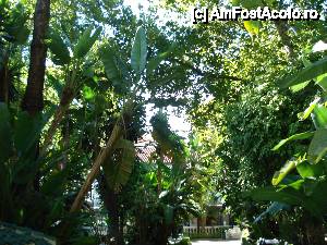 [P12] Marbella și Puerto Banus - Parcul Alameda » foto by nicole33
 - 
<span class="allrVoted glyphicon glyphicon-heart hidden" id="av465097"></span>
<a class="m-l-10 hidden" id="sv465097" onclick="voting_Foto_DelVot(,465097,5391)" role="button">șterge vot <span class="glyphicon glyphicon-remove"></span></a>
<a id="v9465097" class=" c-red"  onclick="voting_Foto_SetVot(465097)" role="button"><span class="glyphicon glyphicon-heart-empty"></span> <b>LIKE</b> = Votează poza</a> <img class="hidden"  id="f465097W9" src="/imagini/loader.gif" border="0" /><span class="AjErrMes hidden" id="e465097ErM"></span>