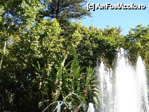 [P13] Marbella și Puerto Banus - Parcul Alameda » foto by nicole33
 - 
<span class="allrVoted glyphicon glyphicon-heart hidden" id="av465098"></span>
<a class="m-l-10 hidden" id="sv465098" onclick="voting_Foto_DelVot(,465098,5391)" role="button">șterge vot <span class="glyphicon glyphicon-remove"></span></a>
<a id="v9465098" class=" c-red"  onclick="voting_Foto_SetVot(465098)" role="button"><span class="glyphicon glyphicon-heart-empty"></span> <b>LIKE</b> = Votează poza</a> <img class="hidden"  id="f465098W9" src="/imagini/loader.gif" border="0" /><span class="AjErrMes hidden" id="e465098ErM"></span>