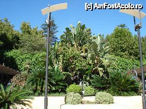 [P07] Marbella și Puerto Banus - Parcul Alameda » foto by nicole33
 - 
<span class="allrVoted glyphicon glyphicon-heart hidden" id="av465090"></span>
<a class="m-l-10 hidden" id="sv465090" onclick="voting_Foto_DelVot(,465090,5391)" role="button">șterge vot <span class="glyphicon glyphicon-remove"></span></a>
<a id="v9465090" class=" c-red"  onclick="voting_Foto_SetVot(465090)" role="button"><span class="glyphicon glyphicon-heart-empty"></span> <b>LIKE</b> = Votează poza</a> <img class="hidden"  id="f465090W9" src="/imagini/loader.gif" border="0" /><span class="AjErrMes hidden" id="e465090ErM"></span>