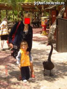 [P14] Selwo Park - la terasa:  un copil, o mamica si o lebada neagra, care, in ciuda faimei sale e foarte greoaie pe uscat! » foto by sunflower
 - 
<span class="allrVoted glyphicon glyphicon-heart hidden" id="av296466"></span>
<a class="m-l-10 hidden" id="sv296466" onclick="voting_Foto_DelVot(,296466,5391)" role="button">șterge vot <span class="glyphicon glyphicon-remove"></span></a>
<a id="v9296466" class=" c-red"  onclick="voting_Foto_SetVot(296466)" role="button"><span class="glyphicon glyphicon-heart-empty"></span> <b>LIKE</b> = Votează poza</a> <img class="hidden"  id="f296466W9" src="/imagini/loader.gif" border="0" /><span class="AjErrMes hidden" id="e296466ErM"></span>