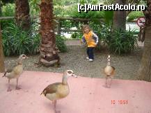 [P15] Selwo Park- cine e mai curajos?? » foto by sunflower
 - 
<span class="allrVoted glyphicon glyphicon-heart hidden" id="av296468"></span>
<a class="m-l-10 hidden" id="sv296468" onclick="voting_Foto_DelVot(,296468,5391)" role="button">șterge vot <span class="glyphicon glyphicon-remove"></span></a>
<a id="v9296468" class=" c-red"  onclick="voting_Foto_SetVot(296468)" role="button"><span class="glyphicon glyphicon-heart-empty"></span> <b>LIKE</b> = Votează poza</a> <img class="hidden"  id="f296468W9" src="/imagini/loader.gif" border="0" /><span class="AjErrMes hidden" id="e296468ErM"></span>