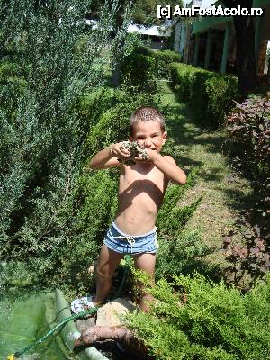 [P01] gradina + iaz 2010 » foto by titus
 - 
<span class="allrVoted glyphicon glyphicon-heart hidden" id="av411846"></span>
<a class="m-l-10 hidden" id="sv411846" onclick="voting_Foto_DelVot(,411846,5399)" role="button">șterge vot <span class="glyphicon glyphicon-remove"></span></a>
<a id="v9411846" class=" c-red"  onclick="voting_Foto_SetVot(411846)" role="button"><span class="glyphicon glyphicon-heart-empty"></span> <b>LIKE</b> = Votează poza</a> <img class="hidden"  id="f411846W9" src="/imagini/loader.gif" border="0" /><span class="AjErrMes hidden" id="e411846ErM"></span>