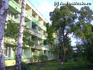 [P06] Hotel Dorna, Mamaia - Grădina din zona interioară » foto by krondia*
 - 
<span class="allrVoted glyphicon glyphicon-heart hidden" id="av369951"></span>
<a class="m-l-10 hidden" id="sv369951" onclick="voting_Foto_DelVot(,369951,5399)" role="button">șterge vot <span class="glyphicon glyphicon-remove"></span></a>
<a id="v9369951" class=" c-red"  onclick="voting_Foto_SetVot(369951)" role="button"><span class="glyphicon glyphicon-heart-empty"></span> <b>LIKE</b> = Votează poza</a> <img class="hidden"  id="f369951W9" src="/imagini/loader.gif" border="0" /><span class="AjErrMes hidden" id="e369951ErM"></span>