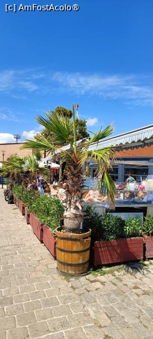 [P16] Terasa exterioară în plin soare. » foto by tata123 🔱
 - 
<span class="allrVoted glyphicon glyphicon-heart hidden" id="av1497668"></span>
<a class="m-l-10 hidden" id="sv1497668" onclick="voting_Foto_DelVot(,1497668,5424)" role="button">șterge vot <span class="glyphicon glyphicon-remove"></span></a>
<a id="v91497668" class=" c-red"  onclick="voting_Foto_SetVot(1497668)" role="button"><span class="glyphicon glyphicon-heart-empty"></span> <b>LIKE</b> = Votează poza</a> <img class="hidden"  id="f1497668W9" src="/imagini/loader.gif" border="0" /><span class="AjErrMes hidden" id="e1497668ErM"></span>