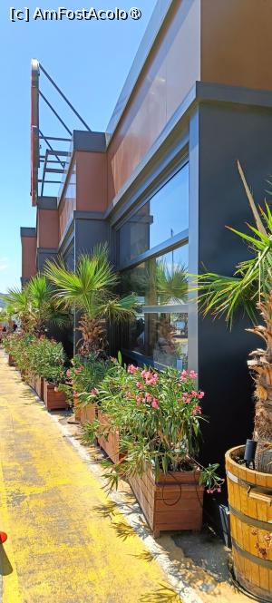 [P02] Vegetație lângă terasa acoperită. » foto by tata123 🔱
 - 
<span class="allrVoted glyphicon glyphicon-heart hidden" id="av1497654"></span>
<a class="m-l-10 hidden" id="sv1497654" onclick="voting_Foto_DelVot(,1497654,5424)" role="button">șterge vot <span class="glyphicon glyphicon-remove"></span></a>
<a id="v91497654" class=" c-red"  onclick="voting_Foto_SetVot(1497654)" role="button"><span class="glyphicon glyphicon-heart-empty"></span> <b>LIKE</b> = Votează poza</a> <img class="hidden"  id="f1497654W9" src="/imagini/loader.gif" border="0" /><span class="AjErrMes hidden" id="e1497654ErM"></span>