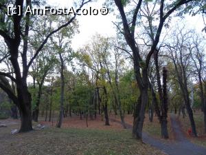 [P05] Parcul Botanic - Timișoara.  » foto by tata123 🔱
 - 
<span class="allrVoted glyphicon glyphicon-heart hidden" id="av1133307"></span>
<a class="m-l-10 hidden" id="sv1133307" onclick="voting_Foto_DelVot(,1133307,5428)" role="button">șterge vot <span class="glyphicon glyphicon-remove"></span></a>
<a id="v91133307" class=" c-red"  onclick="voting_Foto_SetVot(1133307)" role="button"><span class="glyphicon glyphicon-heart-empty"></span> <b>LIKE</b> = Votează poza</a> <img class="hidden"  id="f1133307W9" src="/imagini/loader.gif" border="0" /><span class="AjErrMes hidden" id="e1133307ErM"></span>