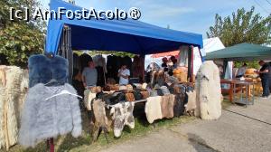 [P102] Festivalul cârnatilor de Plescoi din comuna Berca Buzau » foto by Yolanda
 - 
<span class="allrVoted glyphicon glyphicon-heart hidden" id="av1546718"></span>
<a class="m-l-10 hidden" id="sv1546718" onclick="voting_Foto_DelVot(,1546718,5439)" role="button">șterge vot <span class="glyphicon glyphicon-remove"></span></a>
<a id="v91546718" class=" c-red"  onclick="voting_Foto_SetVot(1546718)" role="button"><span class="glyphicon glyphicon-heart-empty"></span> <b>LIKE</b> = Votează poza</a> <img class="hidden"  id="f1546718W9" src="/imagini/loader.gif" border="0" /><span class="AjErrMes hidden" id="e1546718ErM"></span>