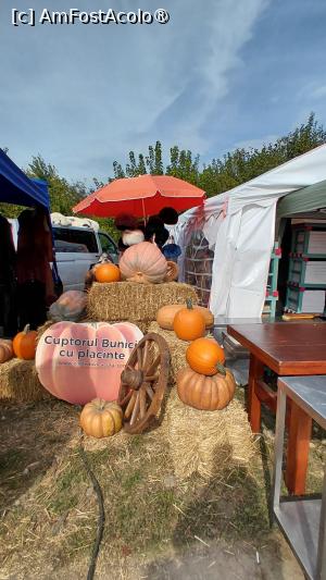 [P104] Festivalul cârnatilor de Plescoi din comuna Berca Buzau » foto by Yolanda
 - 
<span class="allrVoted glyphicon glyphicon-heart hidden" id="av1546720"></span>
<a class="m-l-10 hidden" id="sv1546720" onclick="voting_Foto_DelVot(,1546720,5439)" role="button">șterge vot <span class="glyphicon glyphicon-remove"></span></a>
<a id="v91546720" class=" c-red"  onclick="voting_Foto_SetVot(1546720)" role="button"><span class="glyphicon glyphicon-heart-empty"></span> <b>LIKE</b> = Votează poza</a> <img class="hidden"  id="f1546720W9" src="/imagini/loader.gif" border="0" /><span class="AjErrMes hidden" id="e1546720ErM"></span>