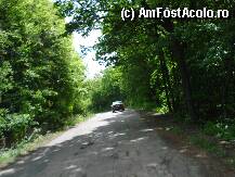 [P03] Ciolan-Magura » foto by andraz
 - 
<span class="allrVoted glyphicon glyphicon-heart hidden" id="av72113"></span>
<a class="m-l-10 hidden" id="sv72113" onclick="voting_Foto_DelVot(,72113,5439)" role="button">șterge vot <span class="glyphicon glyphicon-remove"></span></a>
<a id="v972113" class=" c-red"  onclick="voting_Foto_SetVot(72113)" role="button"><span class="glyphicon glyphicon-heart-empty"></span> <b>LIKE</b> = Votează poza</a> <img class="hidden"  id="f72113W9" src="/imagini/loader.gif" border="0" /><span class="AjErrMes hidden" id="e72113ErM"></span>