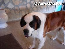 [P04] In cate poze a fost vedeta..asta da celebritate! » foto by andraz
 - 
<span class="allrVoted glyphicon glyphicon-heart hidden" id="av72114"></span>
<a class="m-l-10 hidden" id="sv72114" onclick="voting_Foto_DelVot(,72114,5439)" role="button">șterge vot <span class="glyphicon glyphicon-remove"></span></a>
<a id="v972114" class=" c-red"  onclick="voting_Foto_SetVot(72114)" role="button"><span class="glyphicon glyphicon-heart-empty"></span> <b>LIKE</b> = Votează poza</a> <img class="hidden"  id="f72114W9" src="/imagini/loader.gif" border="0" /><span class="AjErrMes hidden" id="e72114ErM"></span>