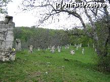 [P23] imagini din cadrul taberei de sculptura Magura. Este chiar vis a vis de manastire » foto by zangela69
 - 
<span class="allrVoted glyphicon glyphicon-heart hidden" id="av64485"></span>
<a class="m-l-10 hidden" id="sv64485" onclick="voting_Foto_DelVot(,64485,5439)" role="button">șterge vot <span class="glyphicon glyphicon-remove"></span></a>
<a id="v964485" class=" c-red"  onclick="voting_Foto_SetVot(64485)" role="button"><span class="glyphicon glyphicon-heart-empty"></span> <b>LIKE</b> = Votează poza</a> <img class="hidden"  id="f64485W9" src="/imagini/loader.gif" border="0" /><span class="AjErrMes hidden" id="e64485ErM"></span>