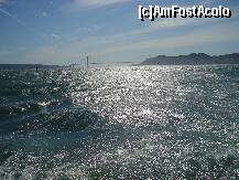 [P08] San Francisco Bay » foto by gigelush72
 - 
<span class="allrVoted glyphicon glyphicon-heart hidden" id="av125142"></span>
<a class="m-l-10 hidden" id="sv125142" onclick="voting_Foto_DelVot(,125142,5485)" role="button">șterge vot <span class="glyphicon glyphicon-remove"></span></a>
<a id="v9125142" class=" c-red"  onclick="voting_Foto_SetVot(125142)" role="button"><span class="glyphicon glyphicon-heart-empty"></span> <b>LIKE</b> = Votează poza</a> <img class="hidden"  id="f125142W9" src="/imagini/loader.gif" border="0" /><span class="AjErrMes hidden" id="e125142ErM"></span>
