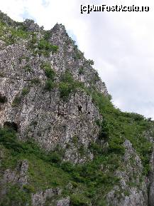 [P03] Sohodol, in zona localitatii Runcu » foto by ancamariagadea*
 - 
<span class="allrVoted glyphicon glyphicon-heart hidden" id="av78093"></span>
<a class="m-l-10 hidden" id="sv78093" onclick="voting_Foto_DelVot(,78093,5502)" role="button">șterge vot <span class="glyphicon glyphicon-remove"></span></a>
<a id="v978093" class=" c-red"  onclick="voting_Foto_SetVot(78093)" role="button"><span class="glyphicon glyphicon-heart-empty"></span> <b>LIKE</b> = Votează poza</a> <img class="hidden"  id="f78093W9" src="/imagini/loader.gif" border="0" /><span class="AjErrMes hidden" id="e78093ErM"></span>