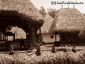 [P10]  -- <small>// FĂRĂ DESCRIERE</small> » foto by florin petre
 - 
<span class="allrVoted glyphicon glyphicon-heart hidden" id="av539816"></span>
<a class="m-l-10 hidden" id="sv539816" onclick="voting_Foto_DelVot(,539816,5504)" role="button">șterge vot <span class="glyphicon glyphicon-remove"></span></a>
<a id="v9539816" class=" c-red"  onclick="voting_Foto_SetVot(539816)" role="button"><span class="glyphicon glyphicon-heart-empty"></span> <b>LIKE</b> = Votează poza</a> <img class="hidden"  id="f539816W9" src="/imagini/loader.gif" border="0" /><span class="AjErrMes hidden" id="e539816ErM"></span>