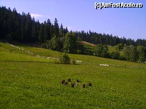 [P25]  -- <small>// FĂRĂ DESCRIERE</small> » foto by Tudor-Cristian
 - 
<span class="allrVoted glyphicon glyphicon-heart hidden" id="av559149"></span>
<a class="m-l-10 hidden" id="sv559149" onclick="voting_Foto_DelVot(,559149,5504)" role="button">șterge vot <span class="glyphicon glyphicon-remove"></span></a>
<a id="v9559149" class=" c-red"  onclick="voting_Foto_SetVot(559149)" role="button"><span class="glyphicon glyphicon-heart-empty"></span> <b>LIKE</b> = Votează poza</a> <img class="hidden"  id="f559149W9" src="/imagini/loader.gif" border="0" /><span class="AjErrMes hidden" id="e559149ErM"></span>