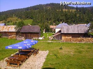 [P26]  -- <small>// FĂRĂ DESCRIERE</small> » foto by Tudor-Cristian
 - 
<span class="allrVoted glyphicon glyphicon-heart hidden" id="av559151"></span>
<a class="m-l-10 hidden" id="sv559151" onclick="voting_Foto_DelVot(,559151,5504)" role="button">șterge vot <span class="glyphicon glyphicon-remove"></span></a>
<a id="v9559151" class=" c-red"  onclick="voting_Foto_SetVot(559151)" role="button"><span class="glyphicon glyphicon-heart-empty"></span> <b>LIKE</b> = Votează poza</a> <img class="hidden"  id="f559151W9" src="/imagini/loader.gif" border="0" /><span class="AjErrMes hidden" id="e559151ErM"></span>