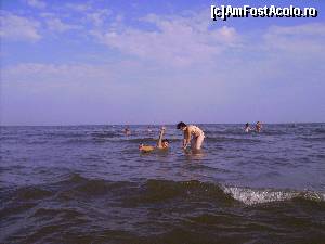 [P08]  -- <small>// FĂRĂ DESCRIERE</small> » foto by Tudor-Cristian
 - 
<span class="allrVoted glyphicon glyphicon-heart hidden" id="av559124"></span>
<a class="m-l-10 hidden" id="sv559124" onclick="voting_Foto_DelVot(,559124,5504)" role="button">șterge vot <span class="glyphicon glyphicon-remove"></span></a>
<a id="v9559124" class=" c-red"  onclick="voting_Foto_SetVot(559124)" role="button"><span class="glyphicon glyphicon-heart-empty"></span> <b>LIKE</b> = Votează poza</a> <img class="hidden"  id="f559124W9" src="/imagini/loader.gif" border="0" /><span class="AjErrMes hidden" id="e559124ErM"></span>