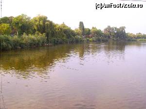 [P17]  -- <small>// FĂRĂ DESCRIERE</small> » foto by Tudor-Cristian
 - 
<span class="allrVoted glyphicon glyphicon-heart hidden" id="av559689"></span>
<a class="m-l-10 hidden" id="sv559689" onclick="voting_Foto_DelVot(,559689,5504)" role="button">șterge vot <span class="glyphicon glyphicon-remove"></span></a>
<a id="v9559689" class=" c-red"  onclick="voting_Foto_SetVot(559689)" role="button"><span class="glyphicon glyphicon-heart-empty"></span> <b>LIKE</b> = Votează poza</a> <img class="hidden"  id="f559689W9" src="/imagini/loader.gif" border="0" /><span class="AjErrMes hidden" id="e559689ErM"></span>