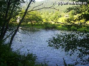 [P02]  -- <small>// FĂRĂ DESCRIERE</small> » foto by Tudor-Cristian
 - 
<span class="allrVoted glyphicon glyphicon-heart hidden" id="av559674"></span>
<a class="m-l-10 hidden" id="sv559674" onclick="voting_Foto_DelVot(,559674,5504)" role="button">șterge vot <span class="glyphicon glyphicon-remove"></span></a>
<a id="v9559674" class=" c-red"  onclick="voting_Foto_SetVot(559674)" role="button"><span class="glyphicon glyphicon-heart-empty"></span> <b>LIKE</b> = Votează poza</a> <img class="hidden"  id="f559674W9" src="/imagini/loader.gif" border="0" /><span class="AjErrMes hidden" id="e559674ErM"></span>