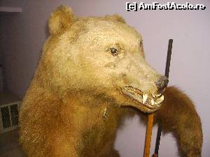 [P16]  -- <small>// FĂRĂ DESCRIERE</small> » foto by Tudor-Cristian
 - 
<span class="allrVoted glyphicon glyphicon-heart hidden" id="av560219"></span>
<a class="m-l-10 hidden" id="sv560219" onclick="voting_Foto_DelVot(,560219,5504)" role="button">șterge vot <span class="glyphicon glyphicon-remove"></span></a>
<a id="v9560219" class=" c-red"  onclick="voting_Foto_SetVot(560219)" role="button"><span class="glyphicon glyphicon-heart-empty"></span> <b>LIKE</b> = Votează poza</a> <img class="hidden"  id="f560219W9" src="/imagini/loader.gif" border="0" /><span class="AjErrMes hidden" id="e560219ErM"></span>